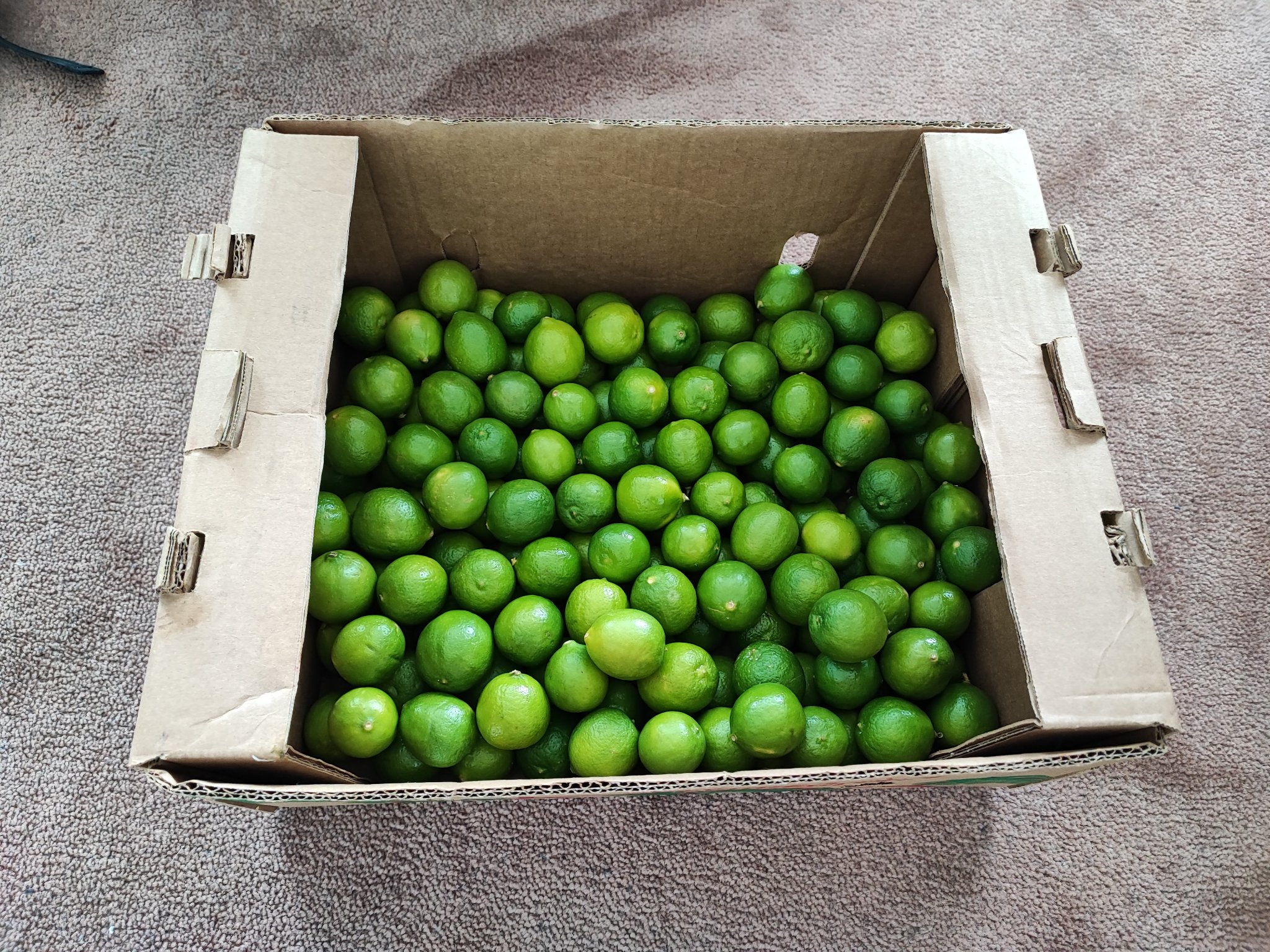 br-an-hanrahan-on-twitter-accidentally-bought-5kg-of-limes-hmu-if