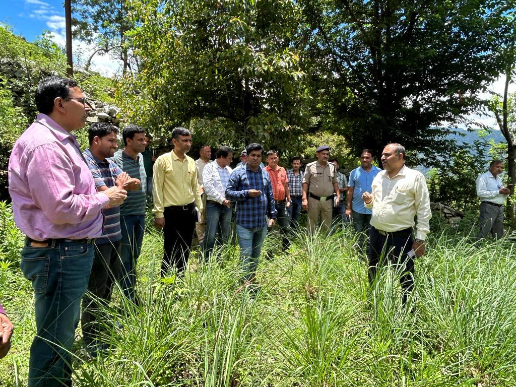 REAPChamoli's tweet photo. Today on 29.06.2023, The #lemon grass #plant established in #Dungri was inspected by the #Chief_Development_Officer and the #Additional_District_Magistrate and gave directions to the officers present.
@nitikakh22
@cdo_chamoli
@ganeshjoshibjp
@DrkanchanNegi
@MoRD_GoI https://t.co/7AQbH5hR01