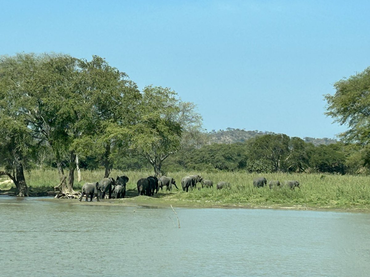 Work? Oh go on then! #Malawi