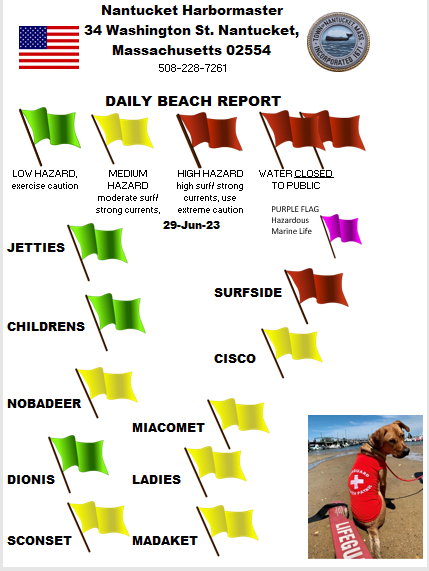 ackharbormaster's tweet photo. Beaches are open for the day!
#summerishere
#allpawsondeck https://t.co/nsExTzDwQU