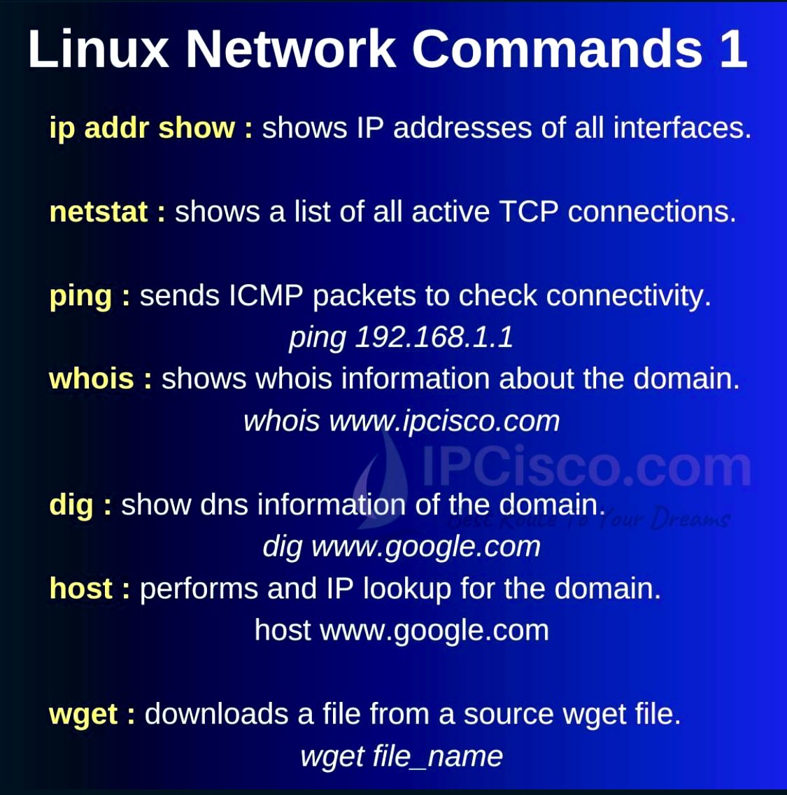 SecurityTrybe's tweet image. Linux Network Commands 

#Linux #Cybersecurity #Tech
