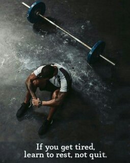 Pooyesh (@web3mrs) on Twitter photo 