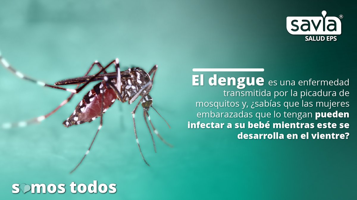 saviasaludeps's tweet photo. 🚨 ¡Incrementan los casos de dengue en el país!

Según el @INSColombia, se han notificado (a mayo) más de 48 mil posibles casos de dengue y cerca de 153 muertes probables por esta indisposición.

Aquí te dejamos algunos datos útiles para que evitemos enfermar ⬇️. https://t.co/jIRJ2ss7Go