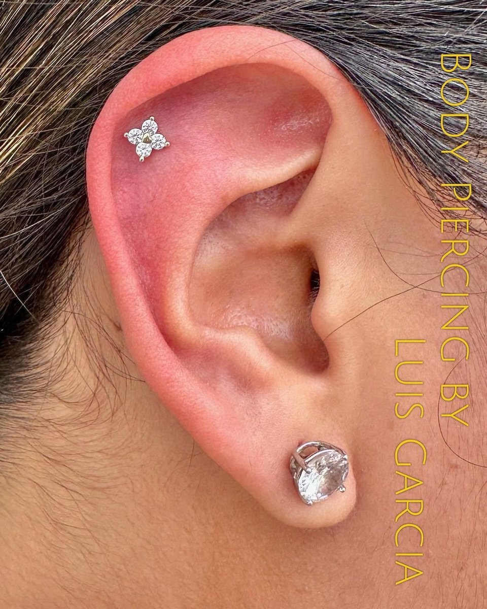 12ozStudios's tweet photo. Fresh helix piercing with this lovely 14kt yellow gold Corazon end from Buddha Jewelry. Piercing performed by Luis Garcia. #12ozpiercing #safepiercing #bodypiercing https://t.co/8phDTzFgud