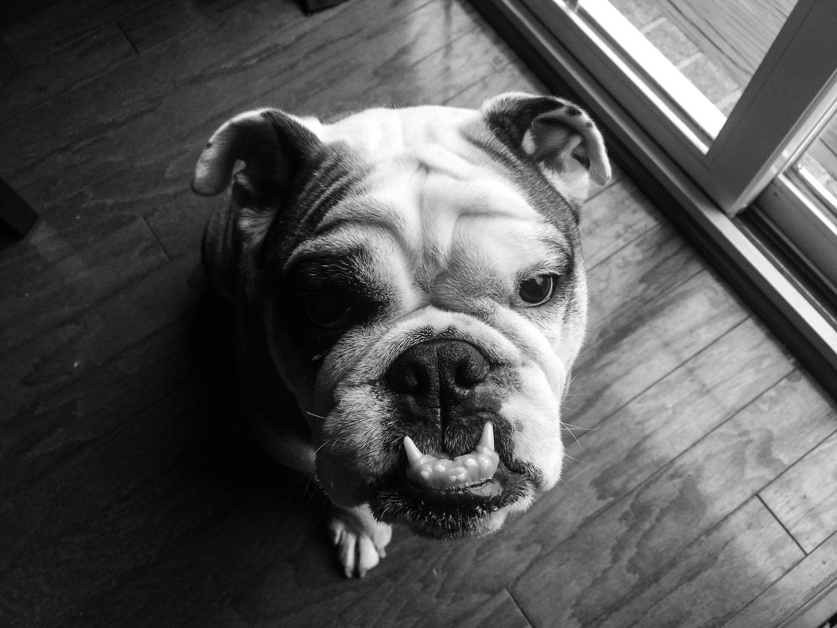 Justin Seeley tweet media