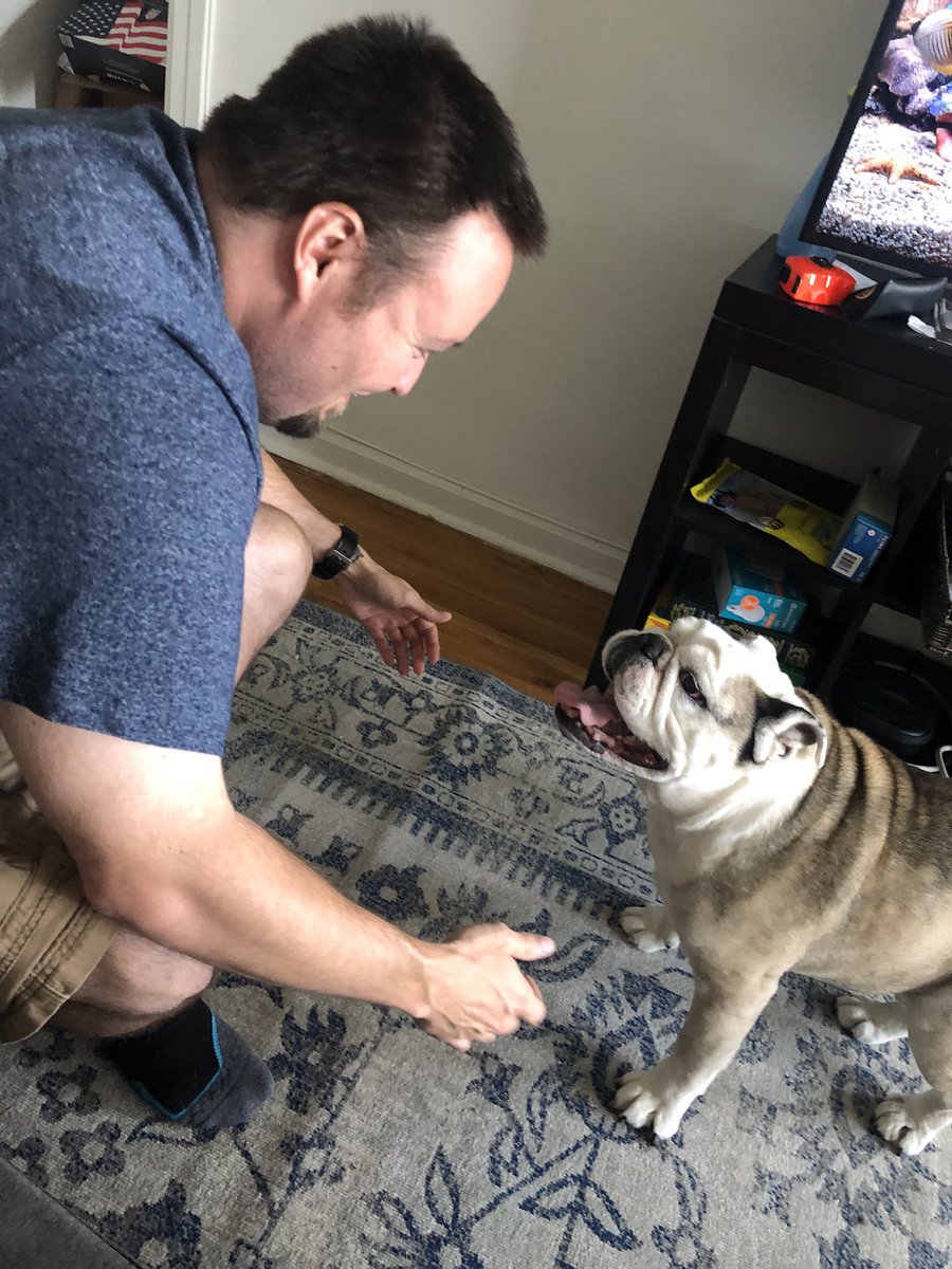 Justin Seeley tweet media