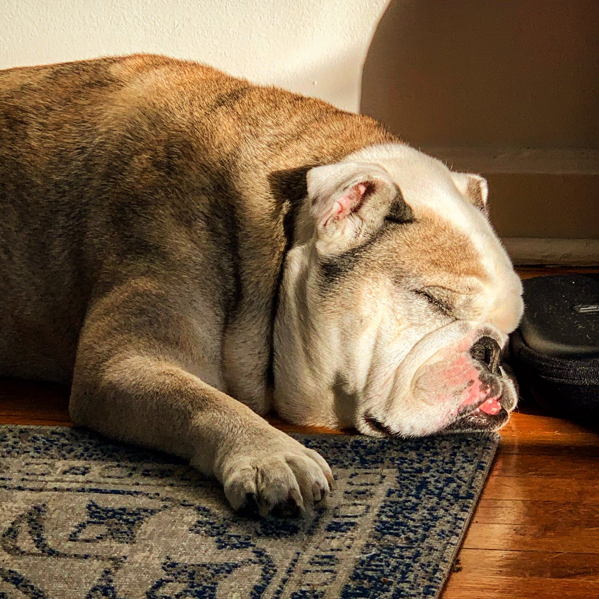 Justin Seeley tweet media