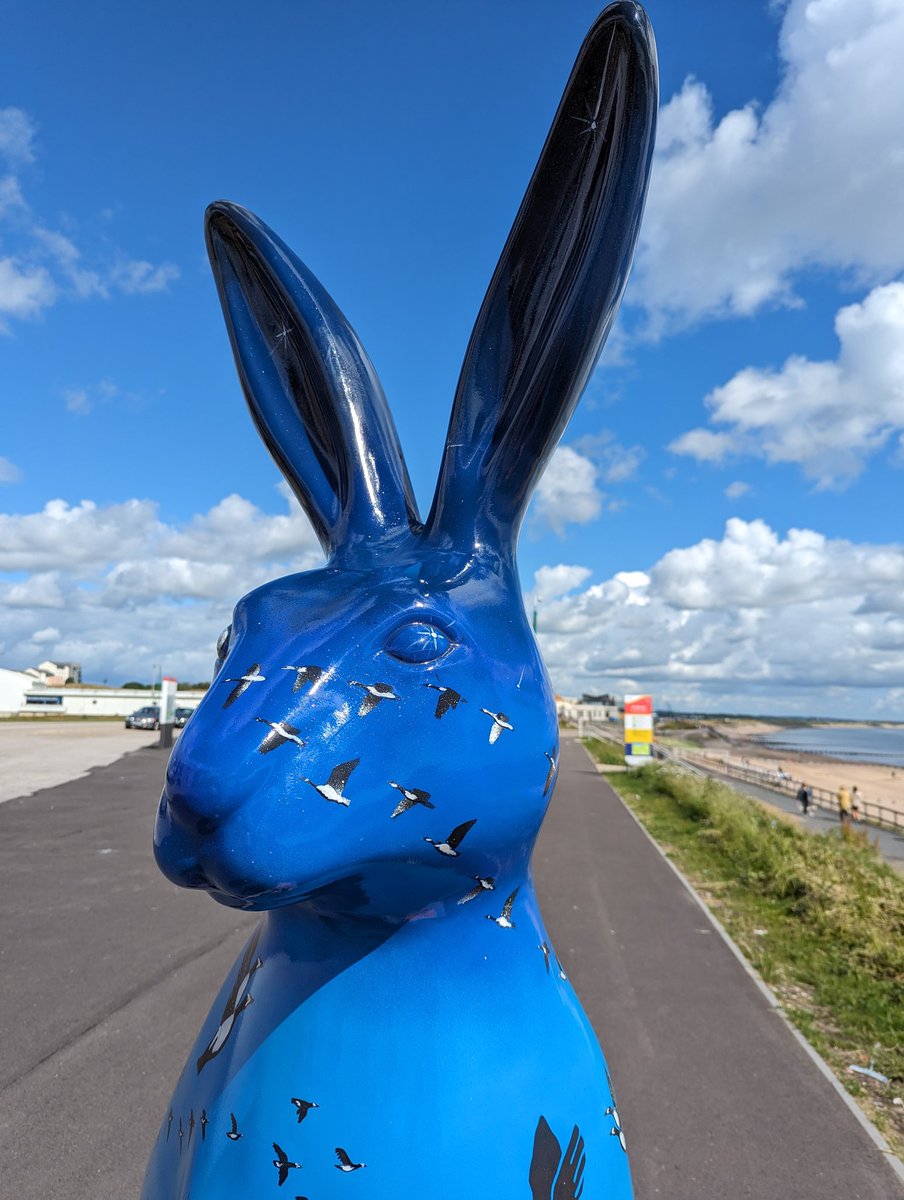 #thebighoptrail #clancancersupport #handpictbypenny #onthetelly