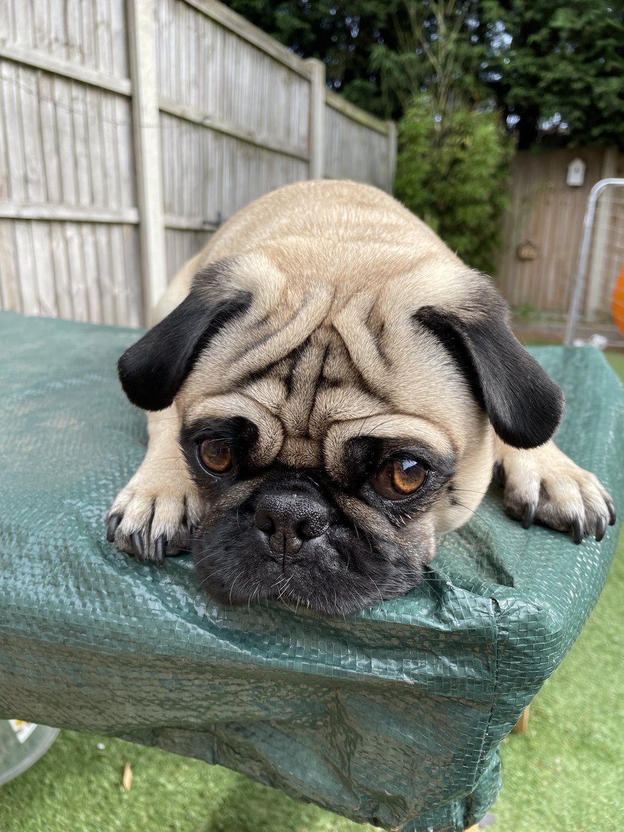 Pix 🎨 tweet media