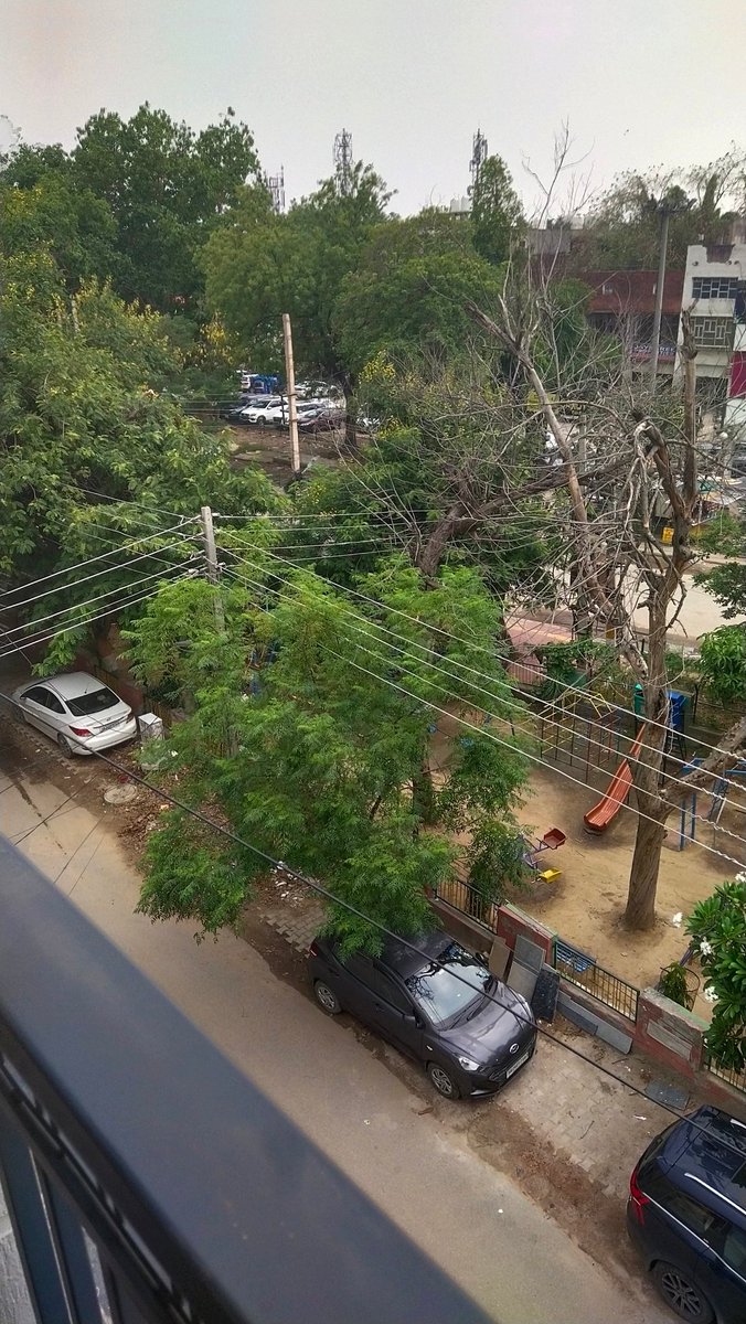 ATEET123456's tweet photo. @mlkhattar please cut this tree its dangerous for kids or electric wire location sec 4 sheed bhagat Singh park gurgaon https://t.co/xAbmPOMNyO
