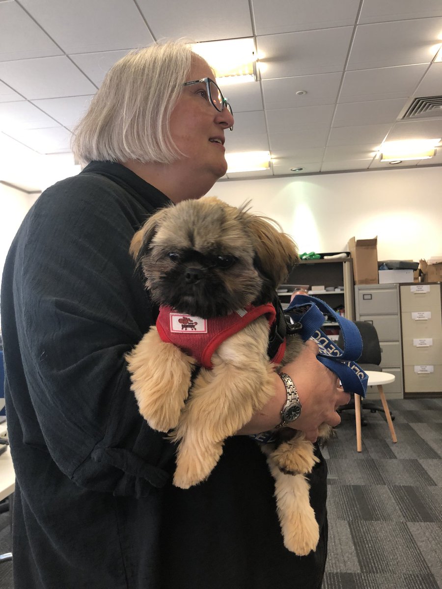 PlussInspires's tweet image. The fabulous Karen &amp;amp; her super cute support dog, Salvatore, from @swasFT at our #EmpDay23 celebrations. #NoOneLeftBehind #WorkingForBetterWork