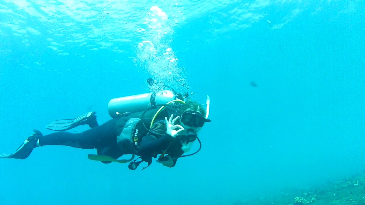 Leanne__L's tweet photo. Epic day 🐢🐟😍😁

Fantastic @PADI open water scuba diving course ticked off today 🎉 

massive thanks to @gekodive for being patient &amp; keeping me safe

#scubadiving #shipwreck #foundnemo #Bali https://t.co/Gu5G5KtVEp