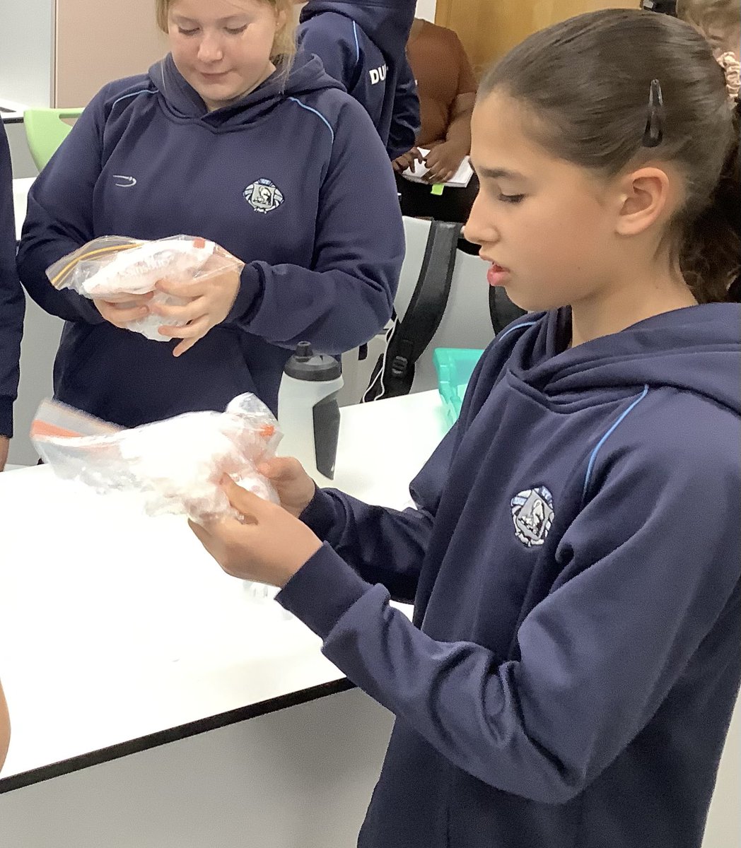 Dunottar Science tweet media