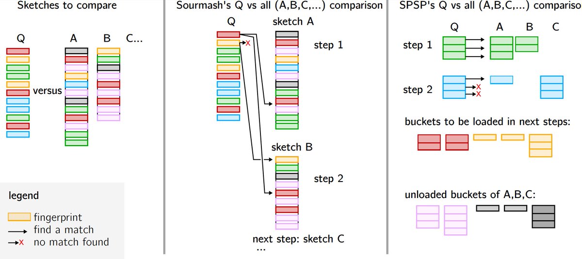 And since we pack our superkmers in buckets associated to a given minimizer, we can also optimize the comparisons of dissimilar sketches and globally ensure cache coherency