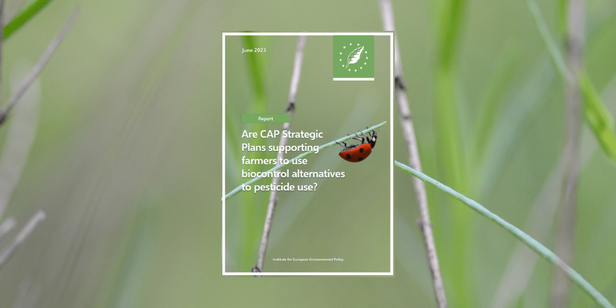 IEEP_eu's tweet photo. Curious to know if #CAP Strategic Plans are fostering the usage of #biocontrol 🐞alternatives over pesticides in farming?
Our new report analyses 7 national plans and how they support Integrated Pest Management.
👉 https://t.co/JzN8DOwQQK https://t.co/86oY5gOfLT
