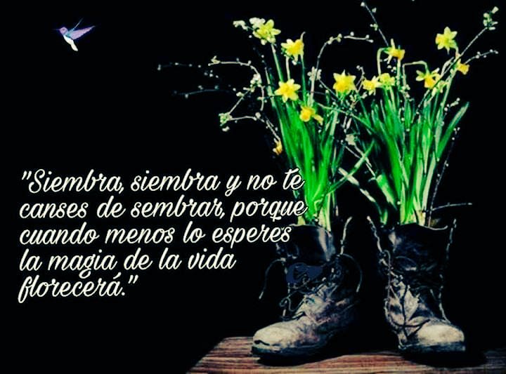 susiortega's tweet photo. 🌱 #Sembremos cada díia, no dudemos que en algún momento recogeremos los frutos , aseguro que siempre, pero siempre se cumple 💪🙌😊 #BuenJueves ⛳ https://t.co/Bd9inCmQz1
