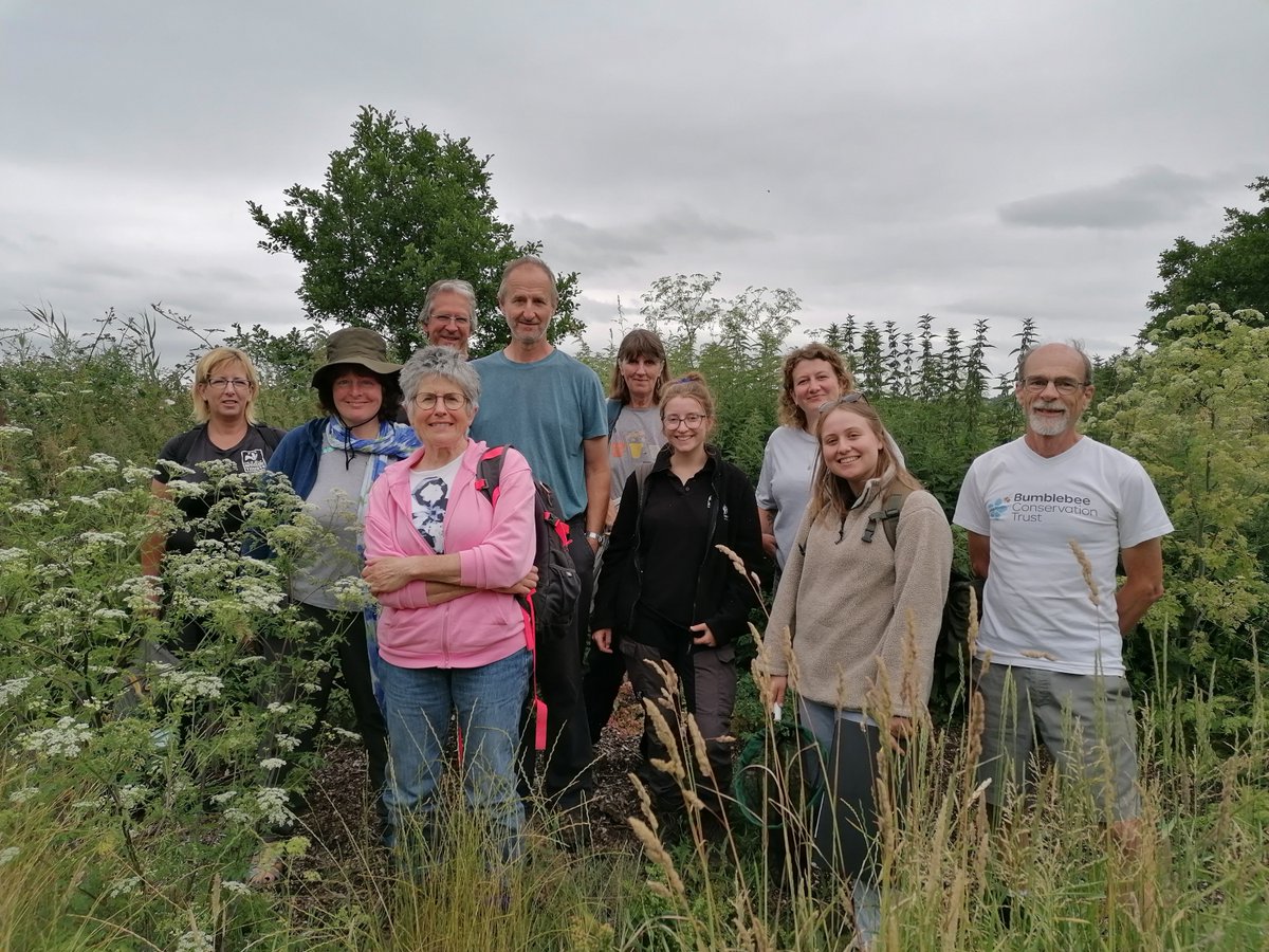 BuzzingShrill's tweet photo. Thank you to everyone who came to this week's BeeBlitz at @SomersetWT Catcott Reserve! We counted over 120 bees 🐝

Visit the 'Events' page on our website to stay up-to-date with upcoming events @BumblebeeTrust #Bumblebees #Volunteers #Somerset https://t.co/IN0exBPAMR