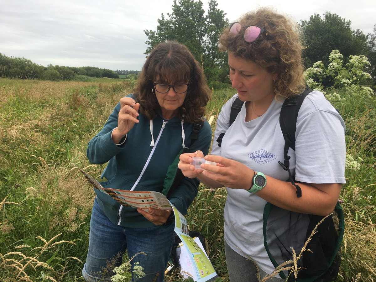 BuzzingShrill's tweet photo. Thank you to everyone who came to this week's BeeBlitz at @SomersetWT Catcott Reserve! We counted over 120 bees 🐝

Visit the 'Events' page on our website to stay up-to-date with upcoming events @BumblebeeTrust #Bumblebees #Volunteers #Somerset https://t.co/IN0exBPAMR