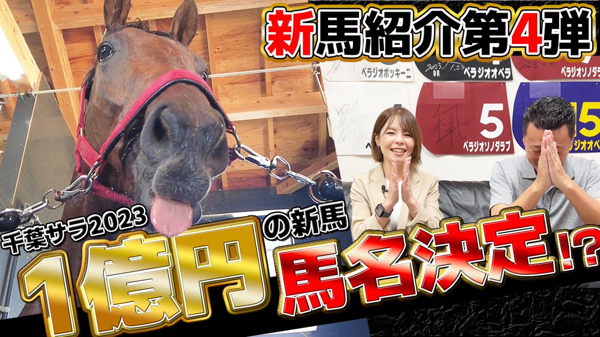 bella_ch_staff's tweet photo. べラジオ新馬紹介第4弾‼️🐎
『千葉サラ2023で1億円の新馬❗️🐴』  

 【ダンサーデスティネイションの21】
 どんな馬名になるのかな⁉️

https://t.co/kIaJ0HwW3u

✅チャンネル登録・ご視聴宜しくお願い致します☺️
#競走馬 
#新馬
#ダンサーデスティネイションの21
#べラジオちゃんねる https://t.co/jTUeFHi044