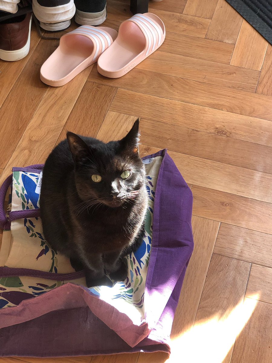 Ursula Davis tweet media