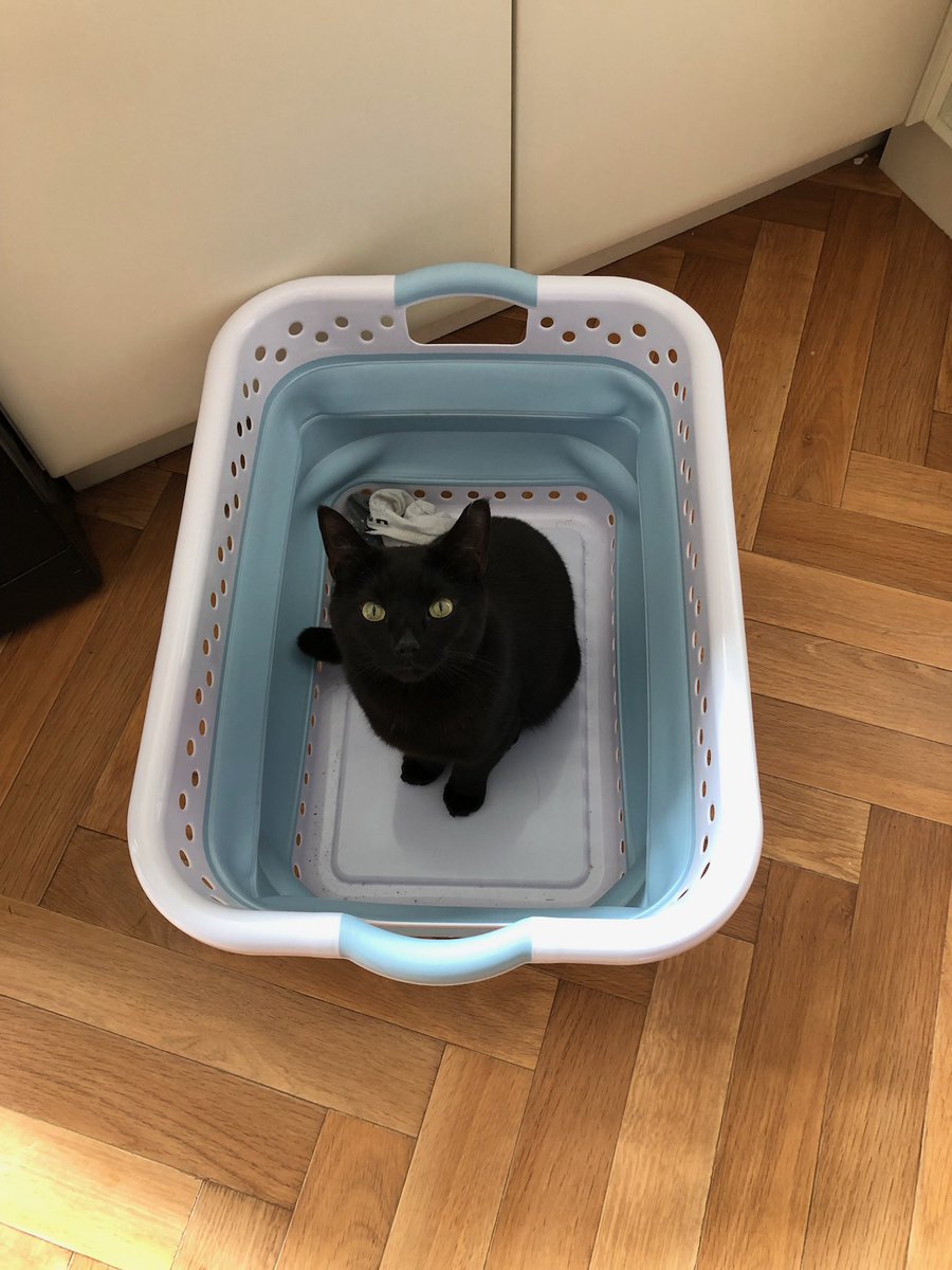 Ursula Davis tweet media