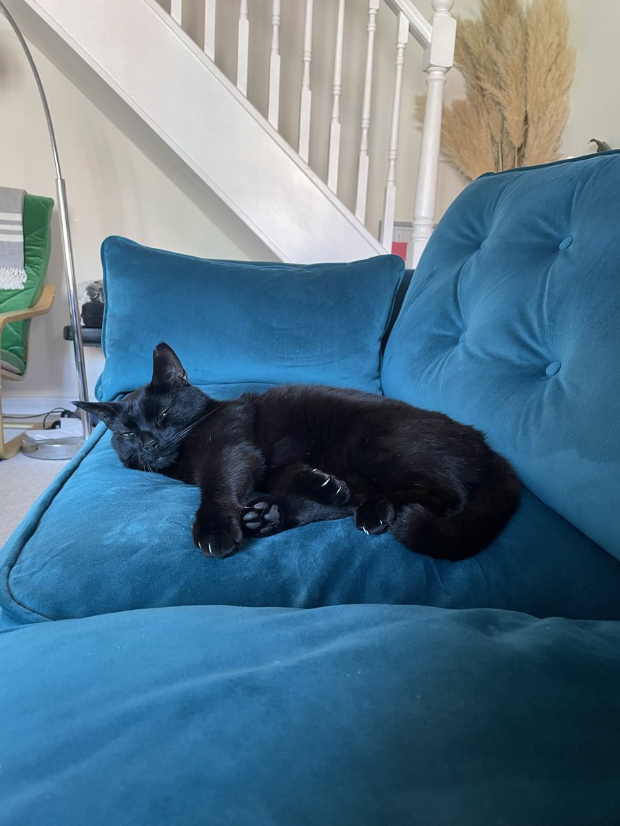 Ursula Davis tweet media