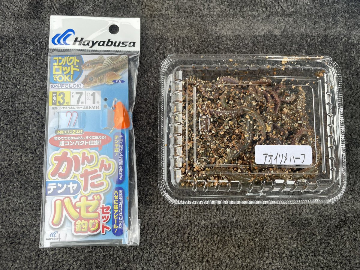 rinanarazaki's tweet photo. ハゼ釣りに行ってきたよ😉
⁡
⭐️準備⭐️
⚫️かんたんハゼ釣りセット
⚫️アオイソメ

初心者の方や都心部に住んでる方などでも
簡単に釣れて美味しく食べれるからオススメ😋

#ハヤブサ　#ハゼ釣り #釣りガール https://t.co/sz8MNTH7pp