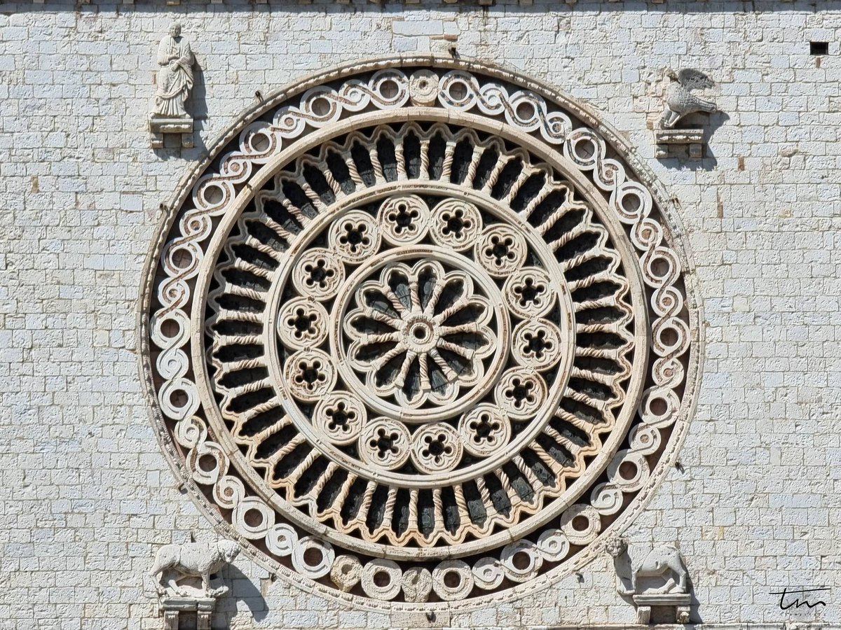 "Signore, apri le mie labbra
e la mia bocca proclami la Tua lode".

#Buongiorno da #Assisi. 

Foto inviata da Samuele Pilia (grazie!)