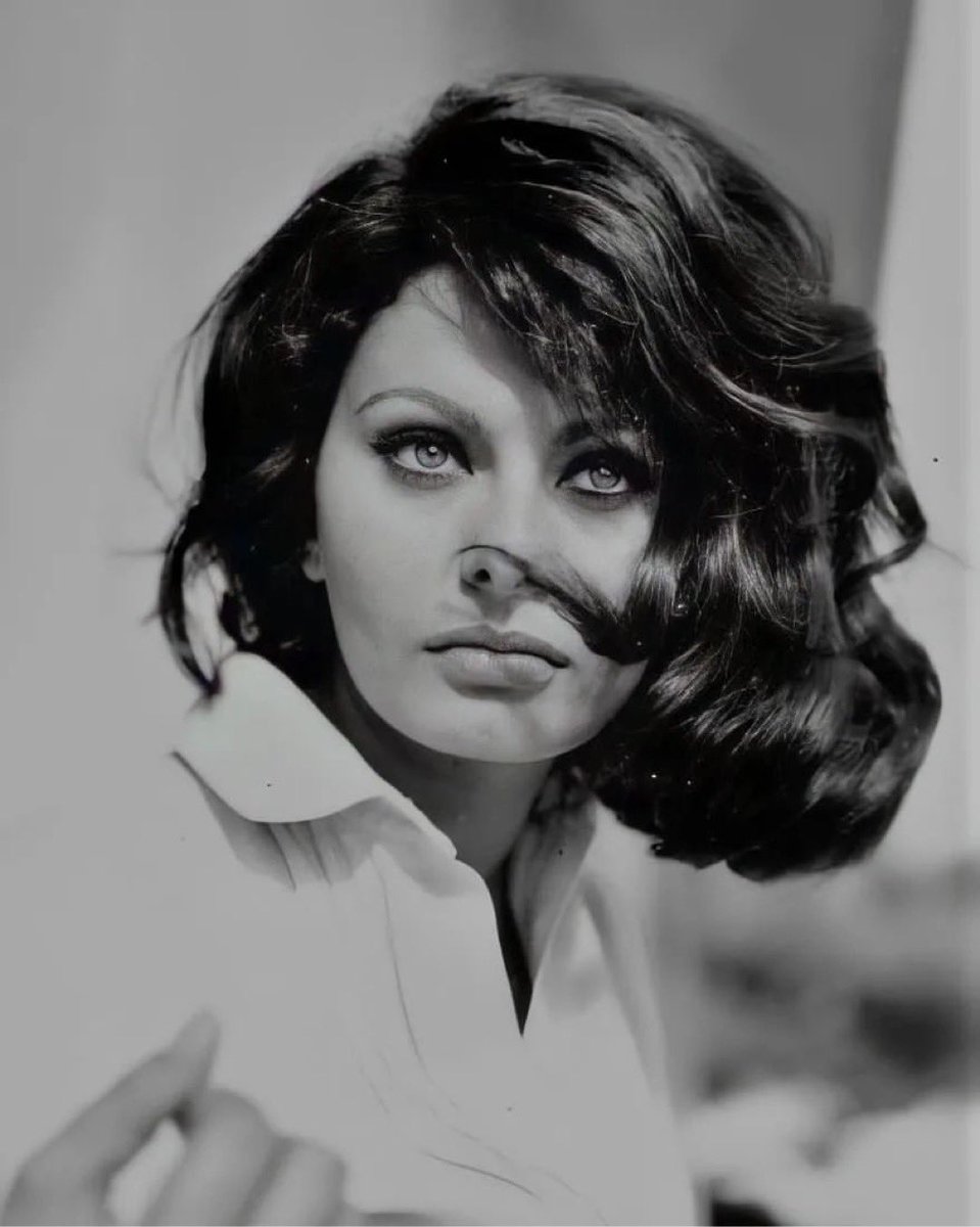 abluce16's tweet photo. La bellezza 

Sophia Loren fotografa da #PeterBasch, 1963 https://t.co/7elbPyyyNq