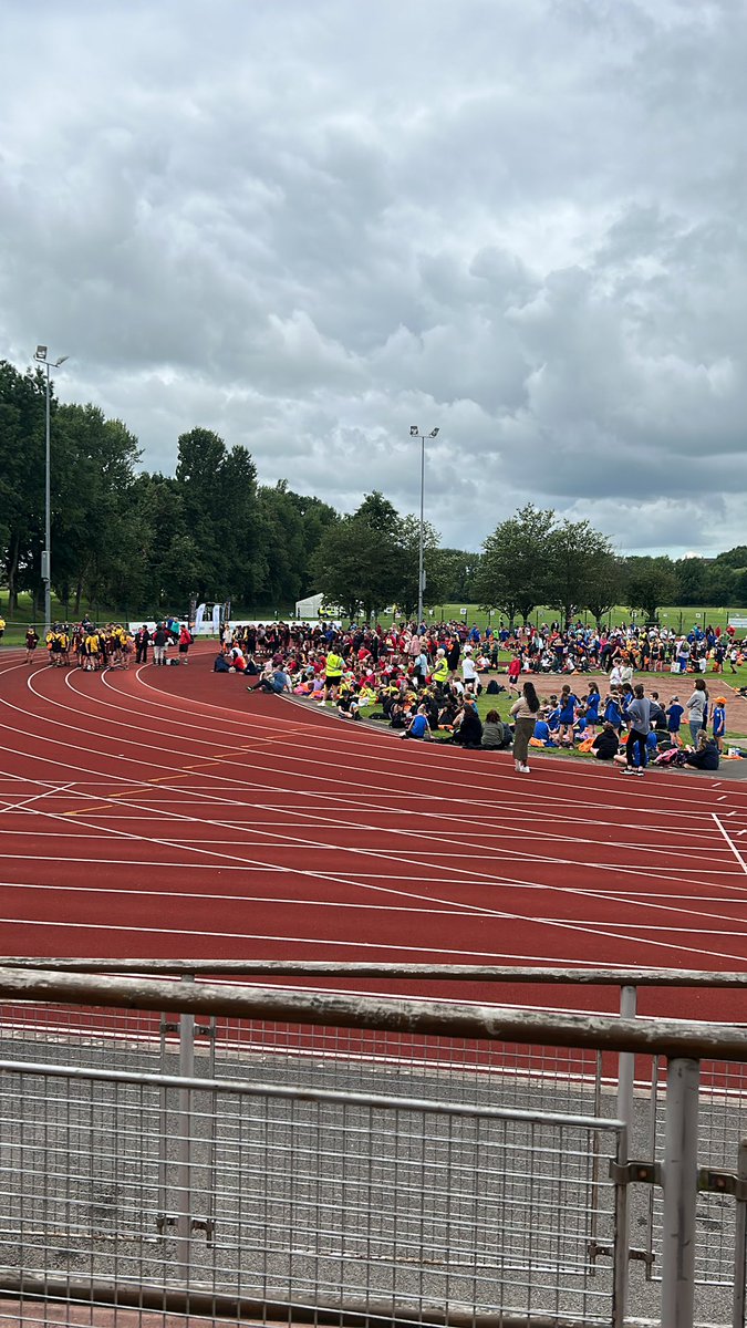 Sheepmount tweet media