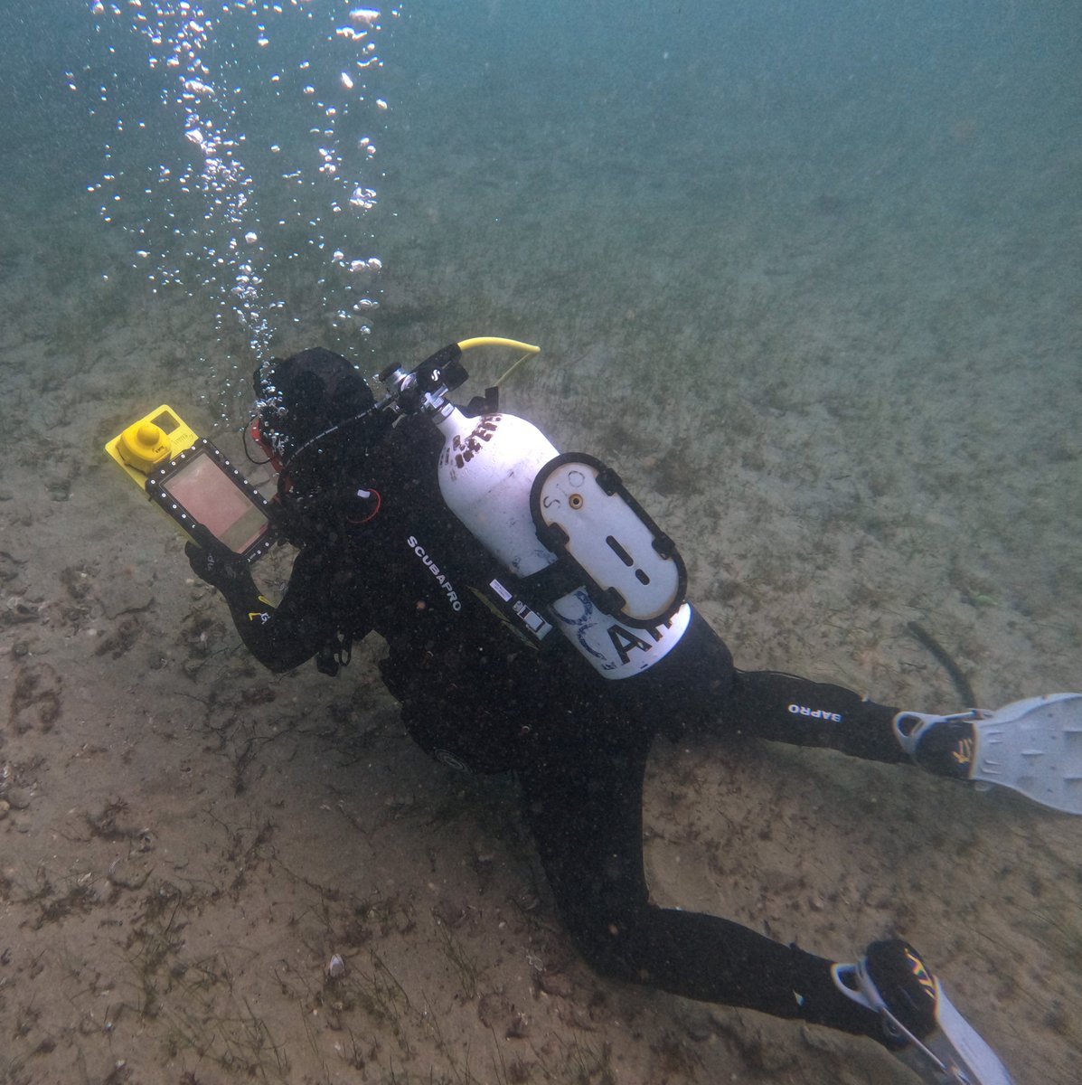 j_mccarthy's tweet photo. testing today of our recently acquired @UWISOy  underwater tracking system "GPS for divers" at Noarlunga Jetty in Adelaide, should be a game changer for maritime archaeology survey. Able assistance from 
@Scuba_Hiro and students Ash &amp; Gerry @FlindersMAP @wvduivenvoorde @jon_benj https://t.co/2qcPwKZLWo