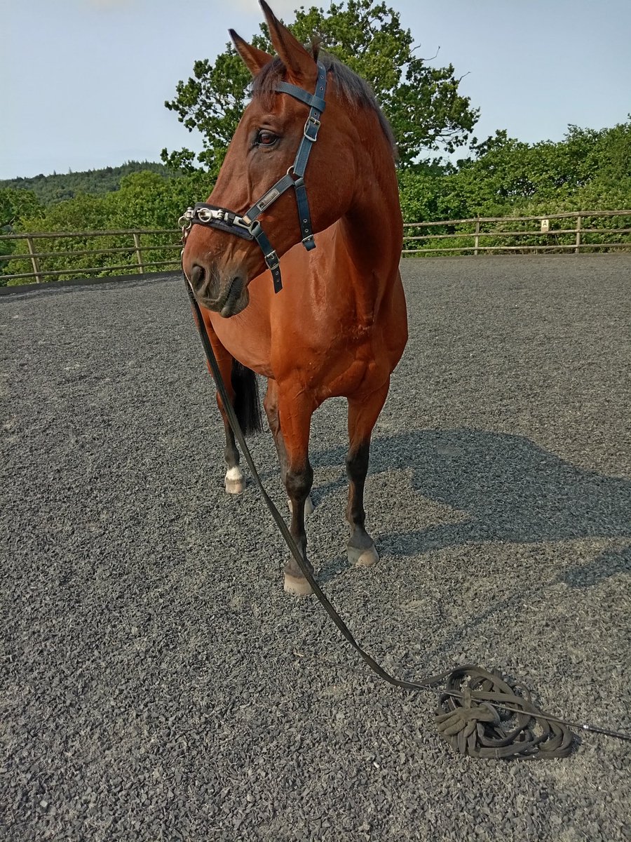 H, learning to ground tie.