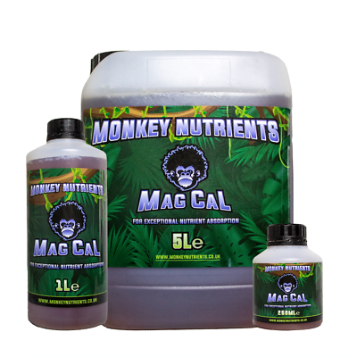 HydroponicsUKs's tweet photo. Monkey Nutrients Mag Cal - Nutrients For Plants, Big Yields, Flowering | eBay https://t.co/BcXzULJDQo 👀

#MonkeyNutrients #Nutrients #Plants #BigYields #Flowering #HomeGrow #Gardening #Hydroponics #Horticulture https://t.co/DA7iibi0de