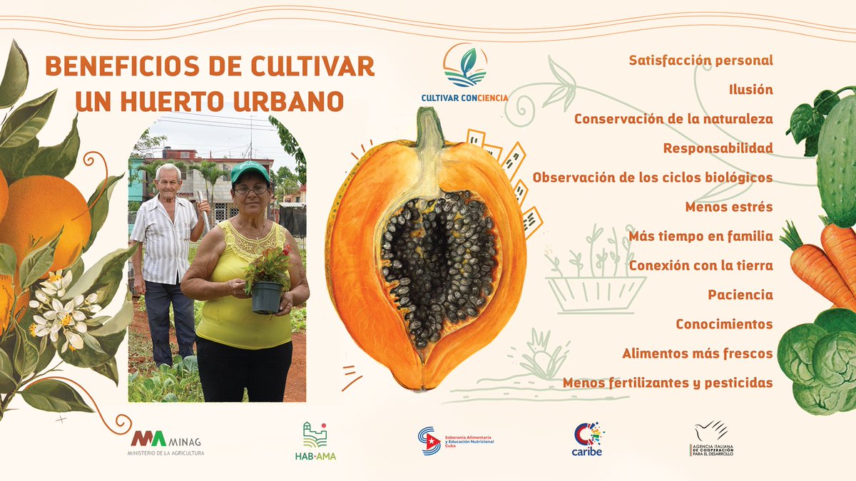 🔹 Cultivar nuestros propios alimentos en casa permite obtener productos frescos, de calidad y de alto valor nutricional. Además, fomenta la responsabilidad sobre los cuidados de un ser vivo y el amor al medio ambiente. 🌱🌾🥬🇨🇺
#Cuba #SoberaníaAlimentaria #CultivarConciencia