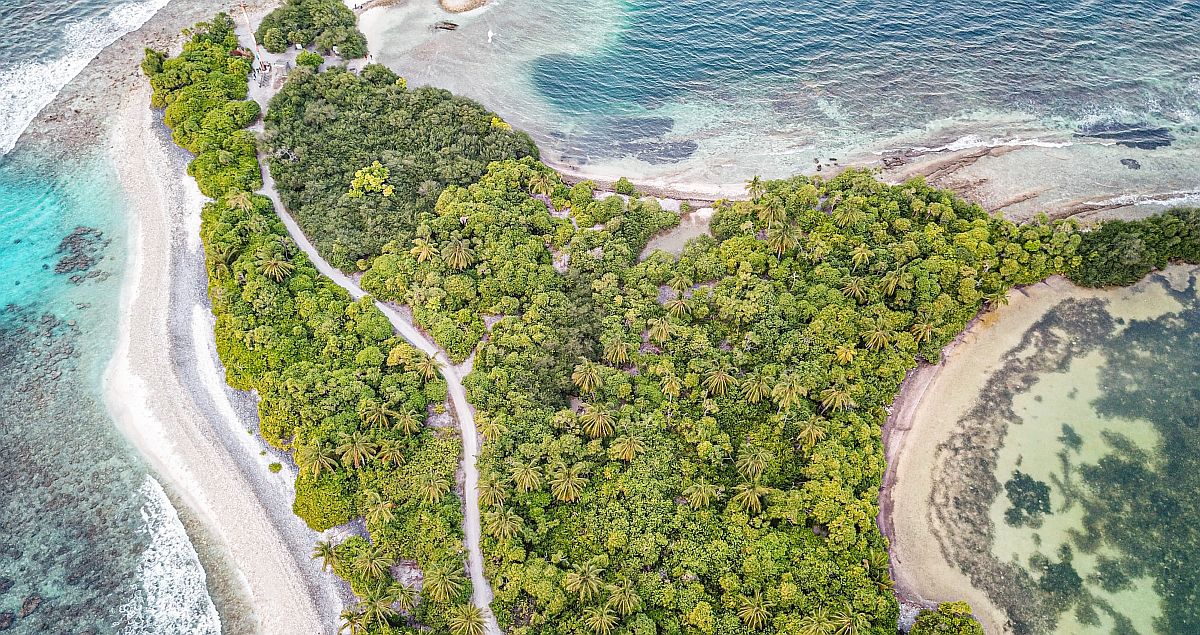 The recently launched Biodiversity Digital Academy by digitalswitzerland has identified ten companies that will receive support, resources and mentorship during the six months to advance their solutions.  startupticker.ch/en/news/digita…