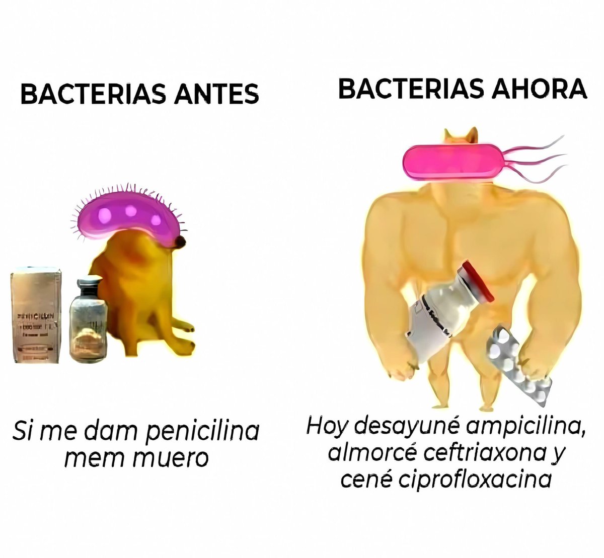 Enséñame de Ciencia (@ensedeciencia) on Twitter photo 