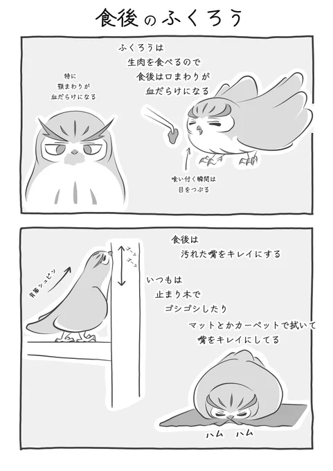 『食後のふくろう』(1/2) #ふくろうな関係 #漫画が読めるハッシュタグ