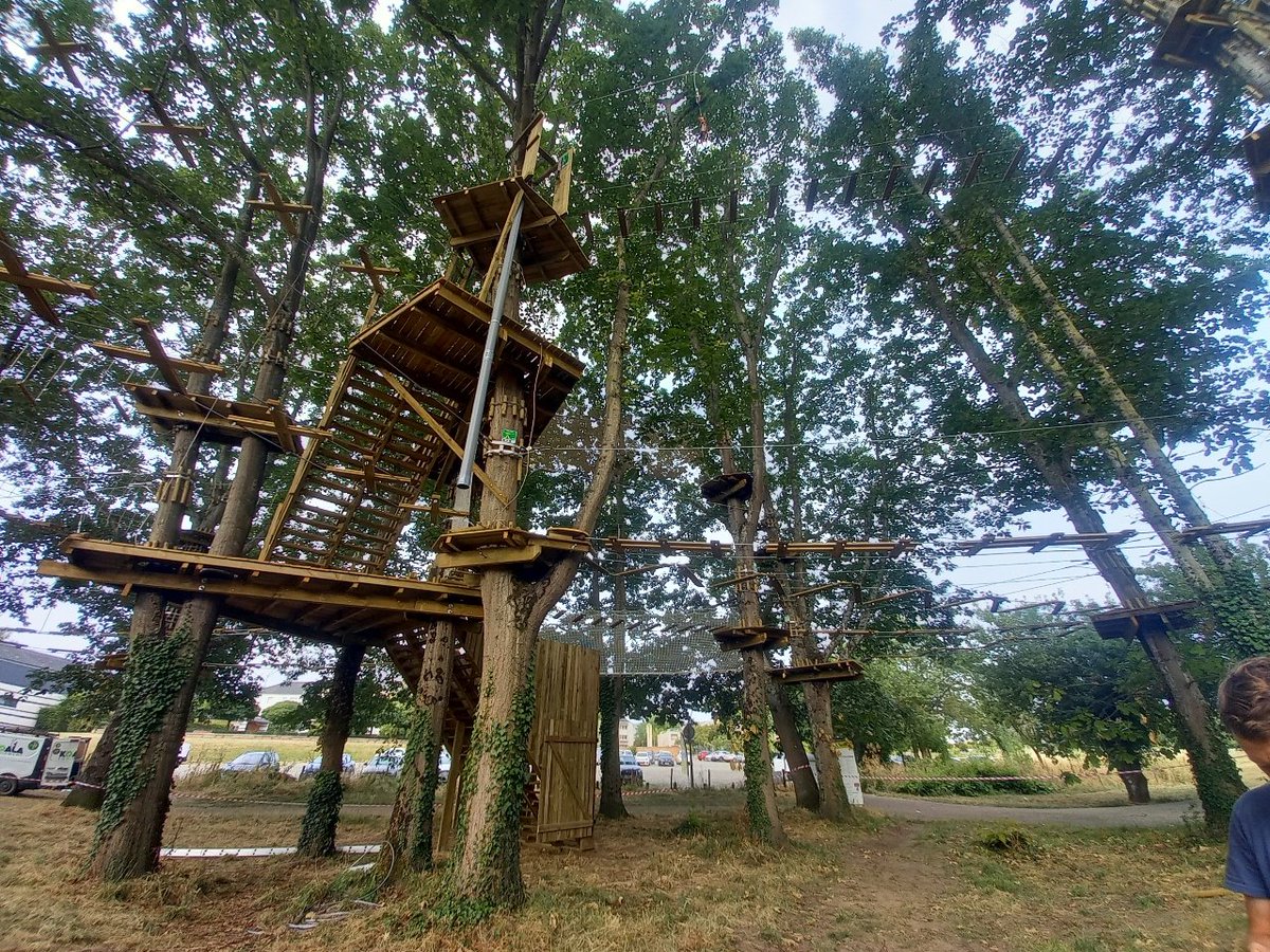 Cécile Bir tweet media