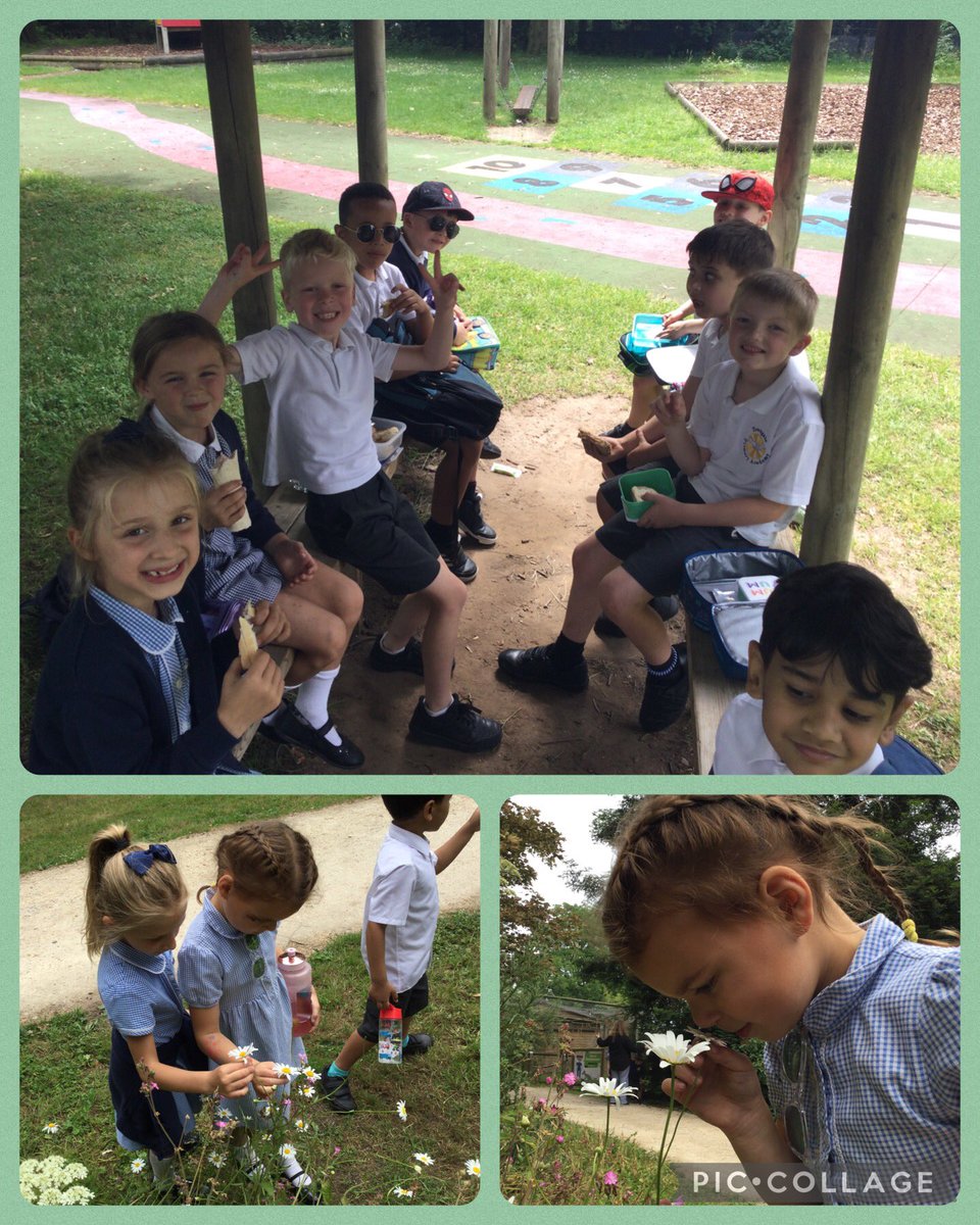 IPMATTowngate's tweet photo. Here are a few photos from our amazing trip to Askham Bryan. We had such a fun day out. Fresh air and learning all rolled into one. More to follow soon! 😊
#year1tpa
#learningoutdoor
#askhambryan https://t.co/w6bFOTcw0H