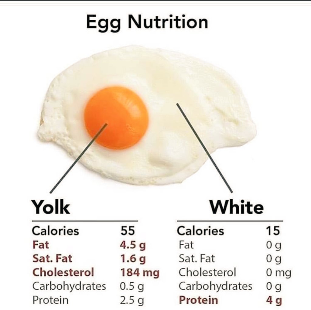 Egg Nutrition