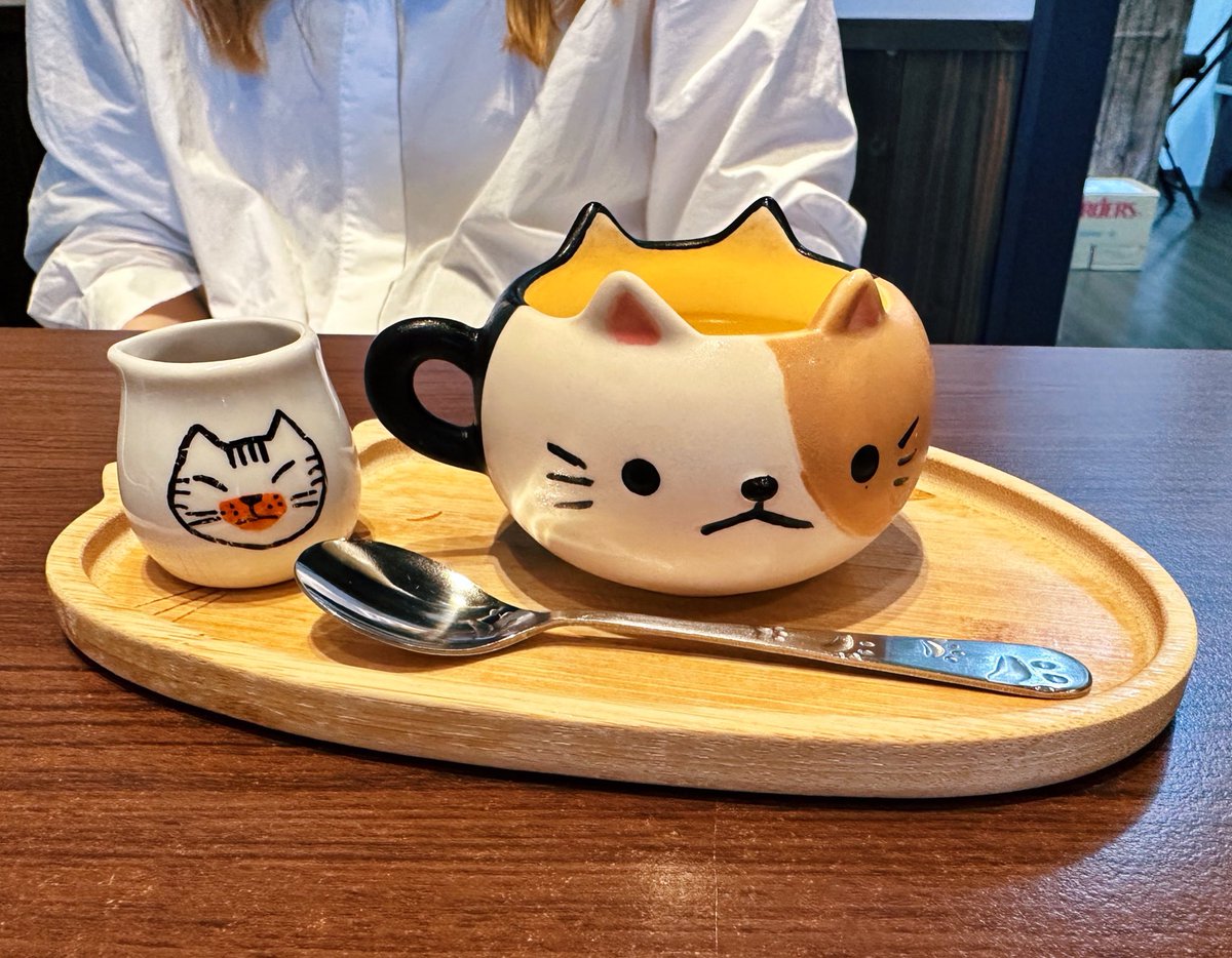 ferdalangurinn's tweet photo. в кошачьем районе Токио обязательно должна быть кофейня, где абсолютно вся посуда — от подноса до ложечки — в форме кошек, и эклеры в форме кошек, и на панна-котте сидит кот; пока ждёшь заказа, можно раскрасить фигурку кота, а кошачью кружку забрать домой, допив кофе. и она есть! https://t.co/pnO4vJq9WG