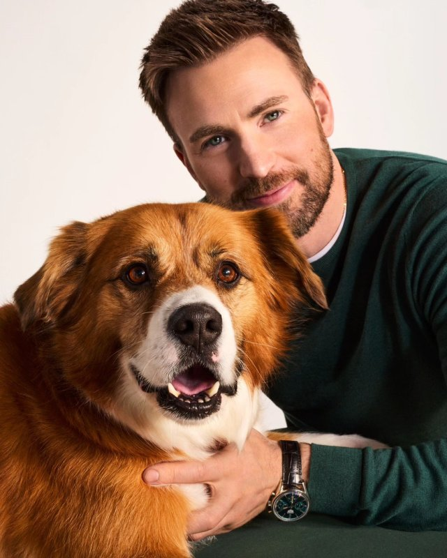 🫶 #ChrisEvans #DodgerEvans🐕💚#jinx