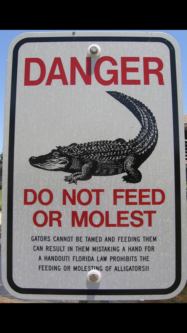 WSekurity's tweet photo. Continuing the #Realsigns theme. This pic taken in Greynolds park , North Miami, Fl. 😆 #floridaman #Gators @CapeGirl2011 @Off2BeTheWizard @DrMQConk @DeneeJackson @JulieDurdaWPLG @CollettPSmall @APEnglishLiter @miachiefofstaff @lisagarcia_lisa @LiamWBZ https://t.co/2SOTDardmW