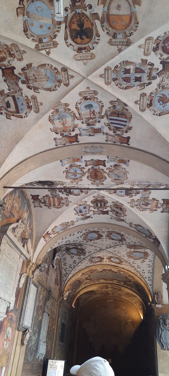 Ana Delicado tweet media