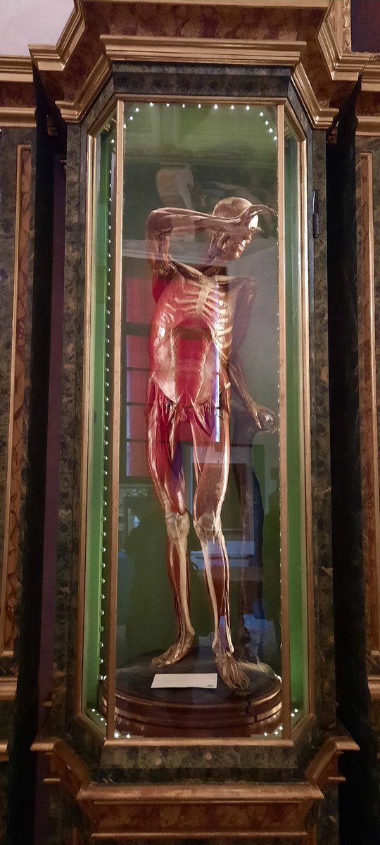 Ana Delicado tweet media