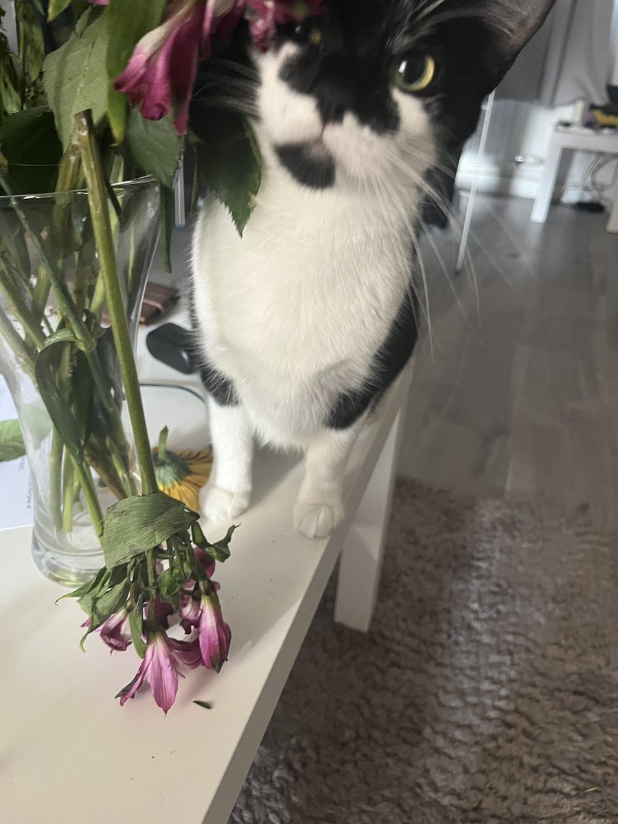 The victim, the crime and the culprit