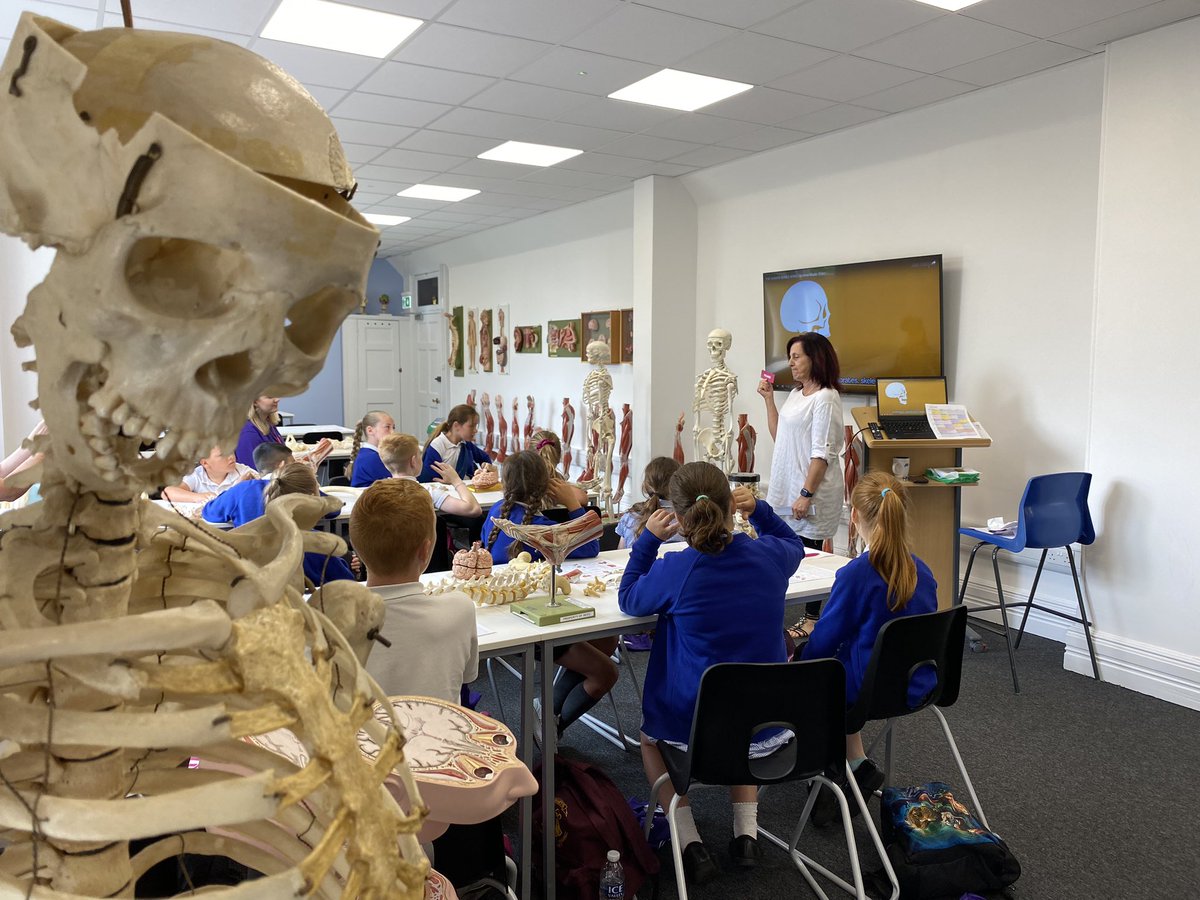 Helen Lewis tweet media