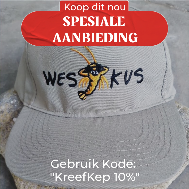 WeskusFees's tweet photo. 10% Afslag as jy hierdie immers spesiale en gewilde #WESKUS Kepsie nou bestel op ons Aanlyn Winkel!
https://t.co/2FtXlj3IhH
#WeskusJouLekkerDing #Weskus #WeskusJouLekkerDingAanlynWinkel #WestCoast #WestCoastMemorabilia https://t.co/ZQPc0o16E7