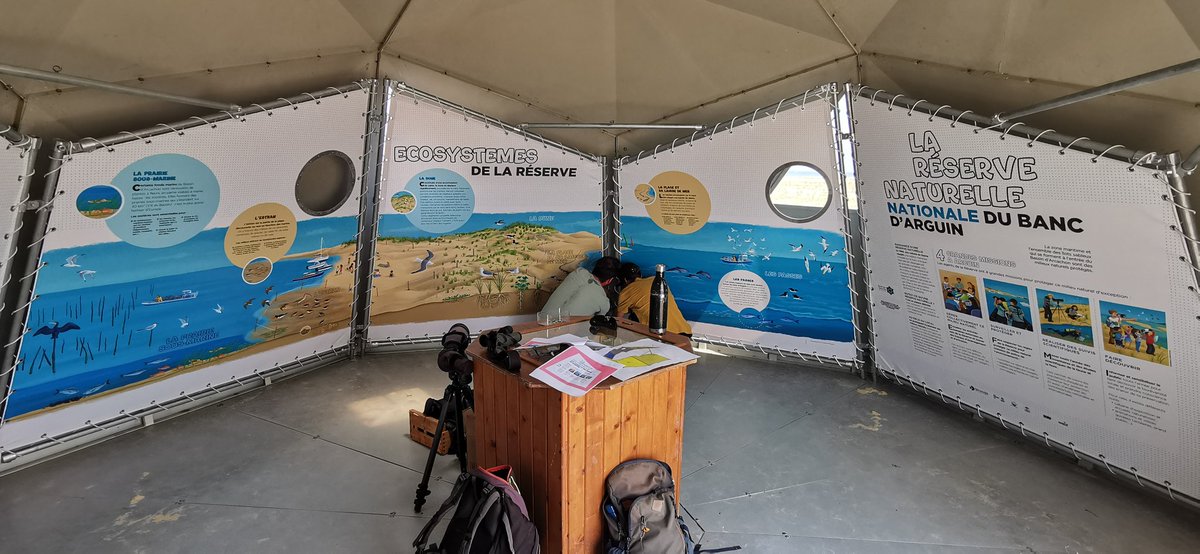 RnnArguin's tweet photo. Montage en cours de la nouvelle exposition de la Réserve dans le point d'accueil à la pointe Nord du banc d'Arguin.
Un grand merci à nos partenaires et soutiens pour ce beau travail collectif ! https://t.co/EwMeY59ptA