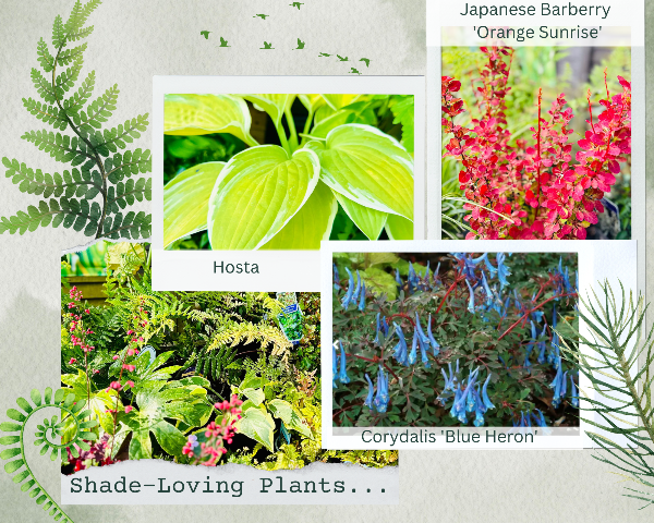 bow_gc's tweet photo. Summer Excitement 🤩🌸🌺 We are blooming with great offers this Summer, plus all you need to make the most of your outdoor space - Follow the link below for a sneak peak at our latest deals... https://t.co/B6sCTesegt https://t.co/ErkOX4l7OE